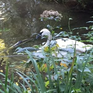 Meet your Posher, Ranah